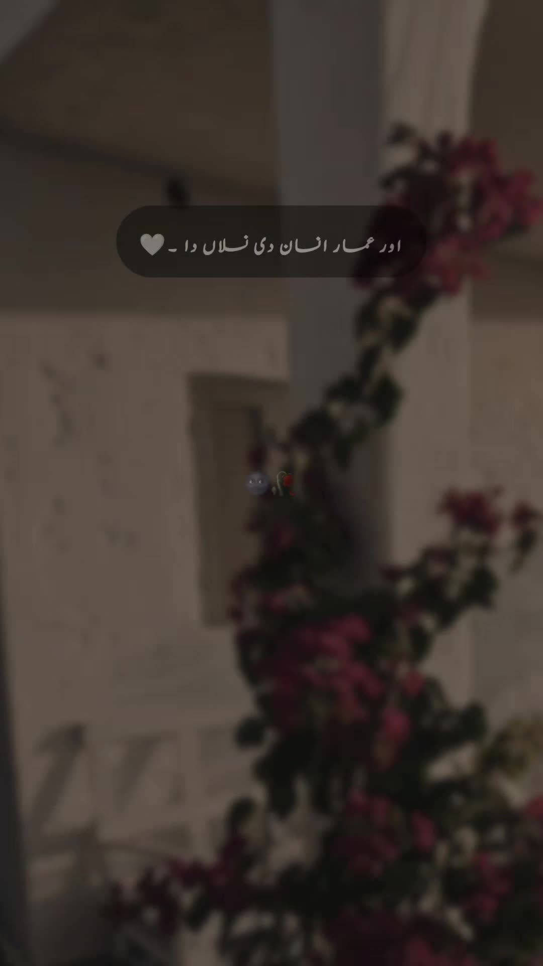 @๐ ๐ ๐ ๐ข ๐๐ซ