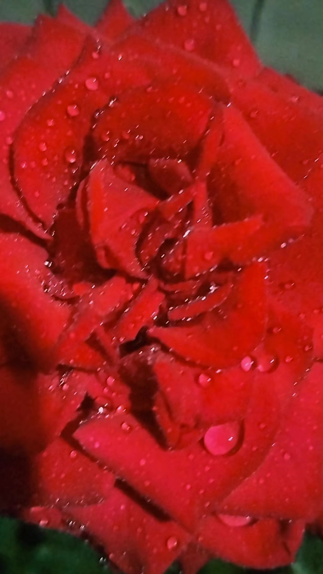 @श्रुति दास❤️