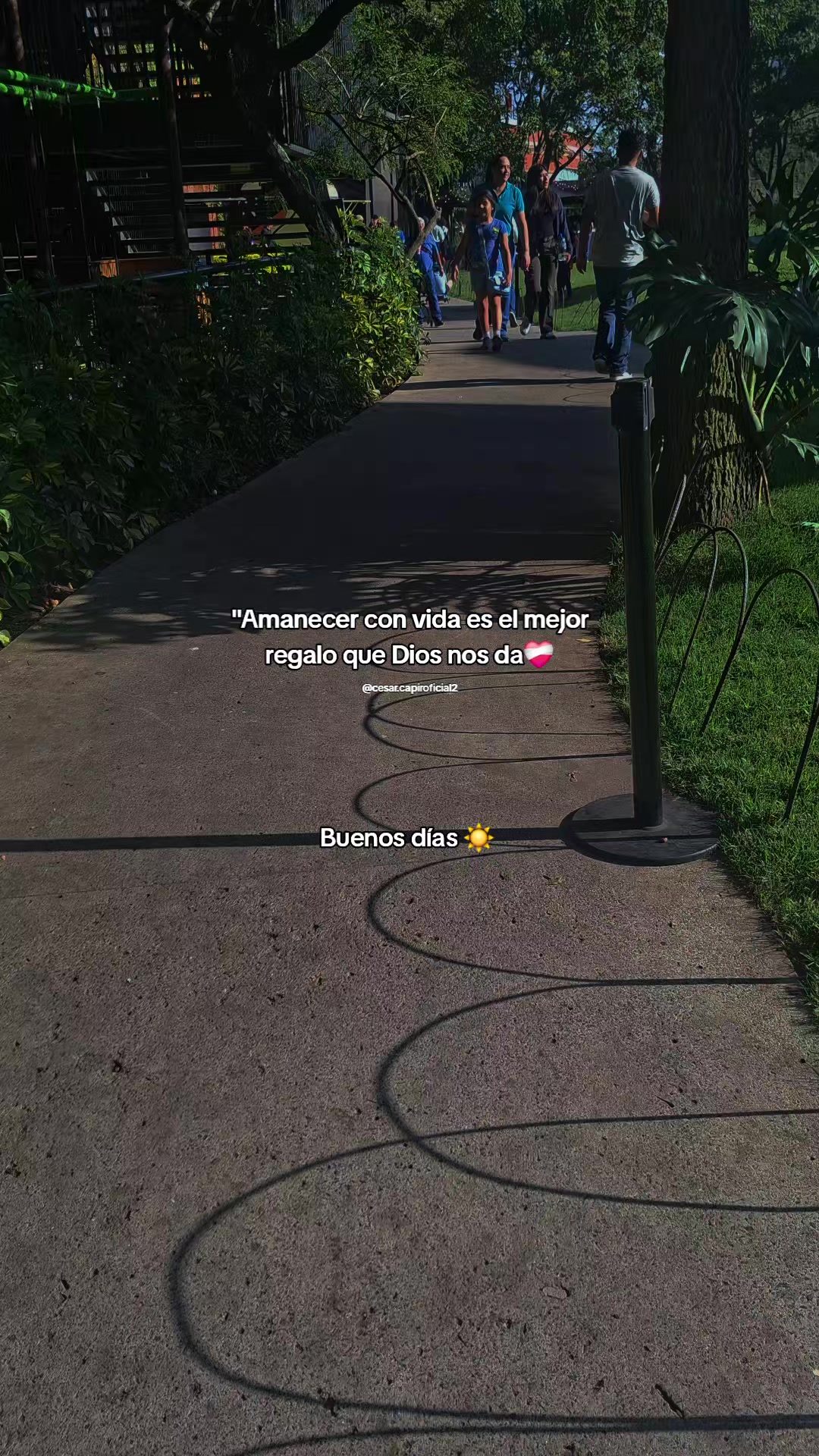 @🆂-Ⓓ🅸🅾🆂🅰