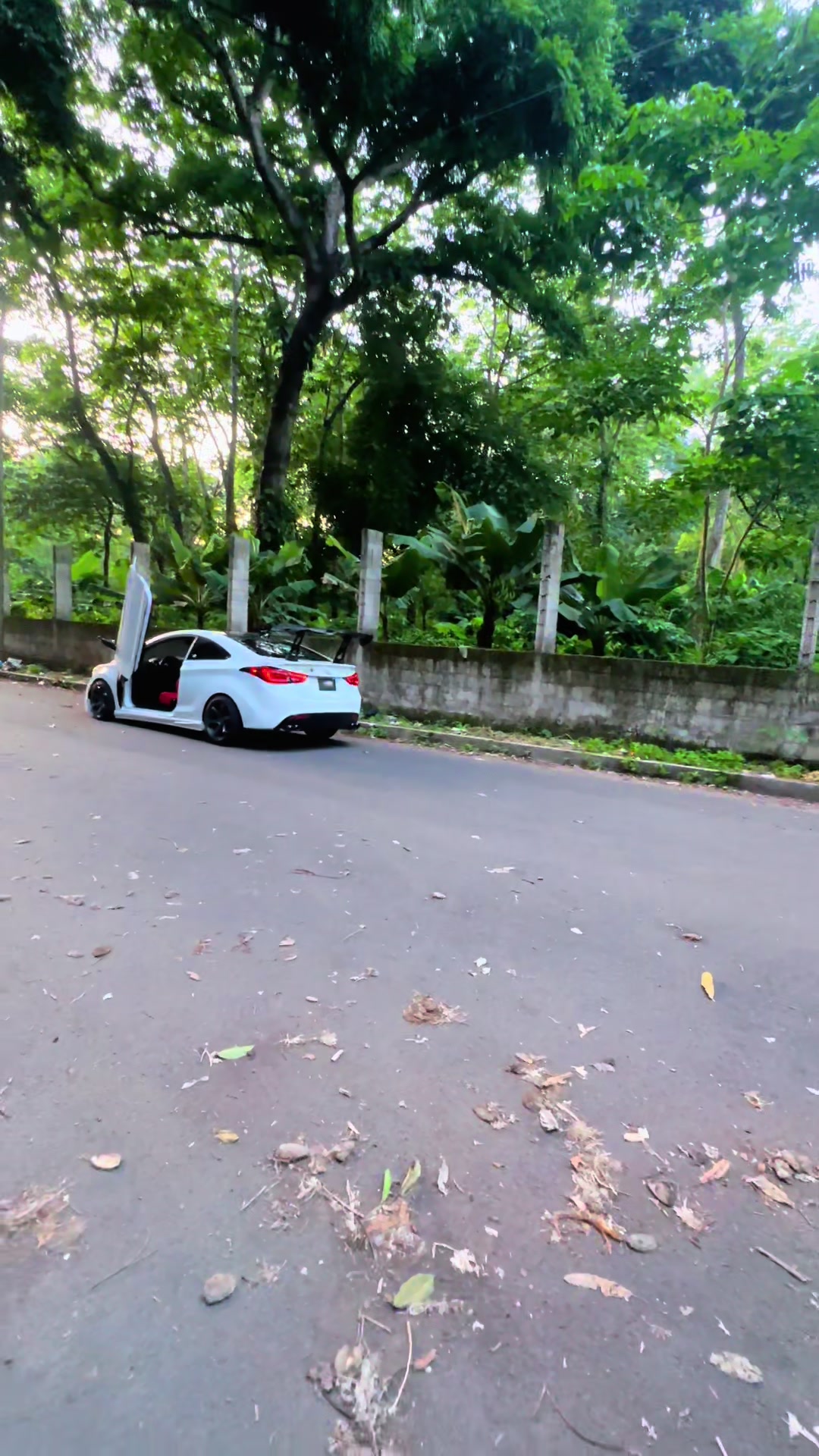 @Avante Lambo
