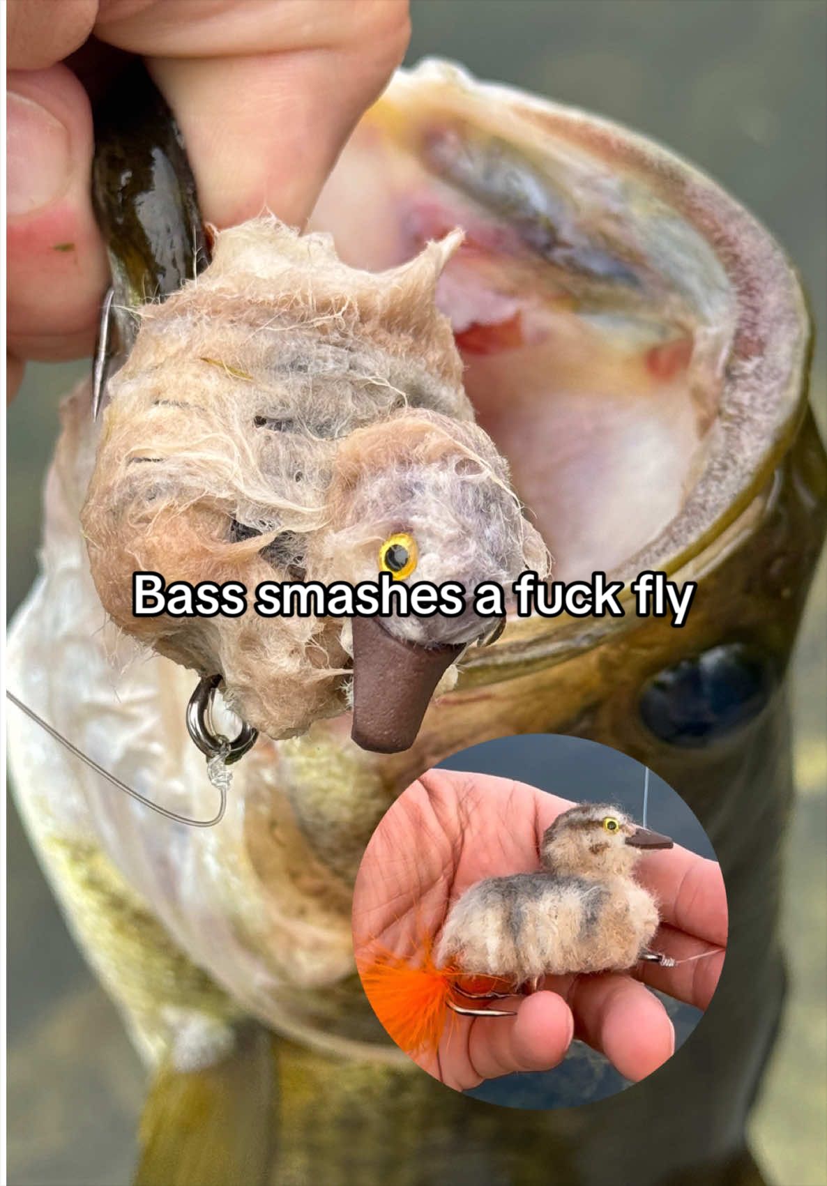 @FlyFishDelawhere