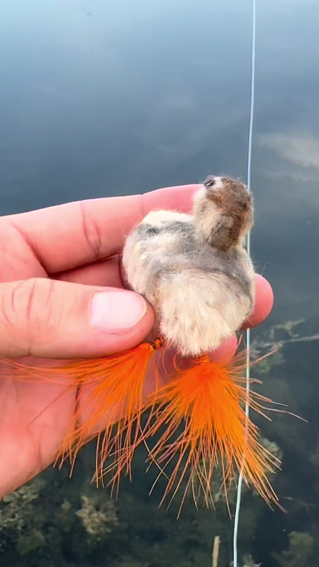 @FlyFishDelawhere