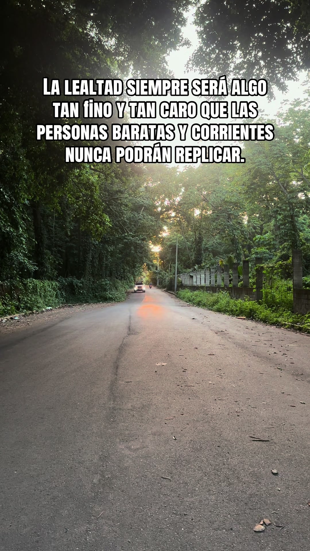 @Avante Lambo