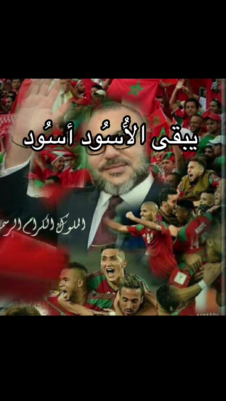 @Omfarouk_7
