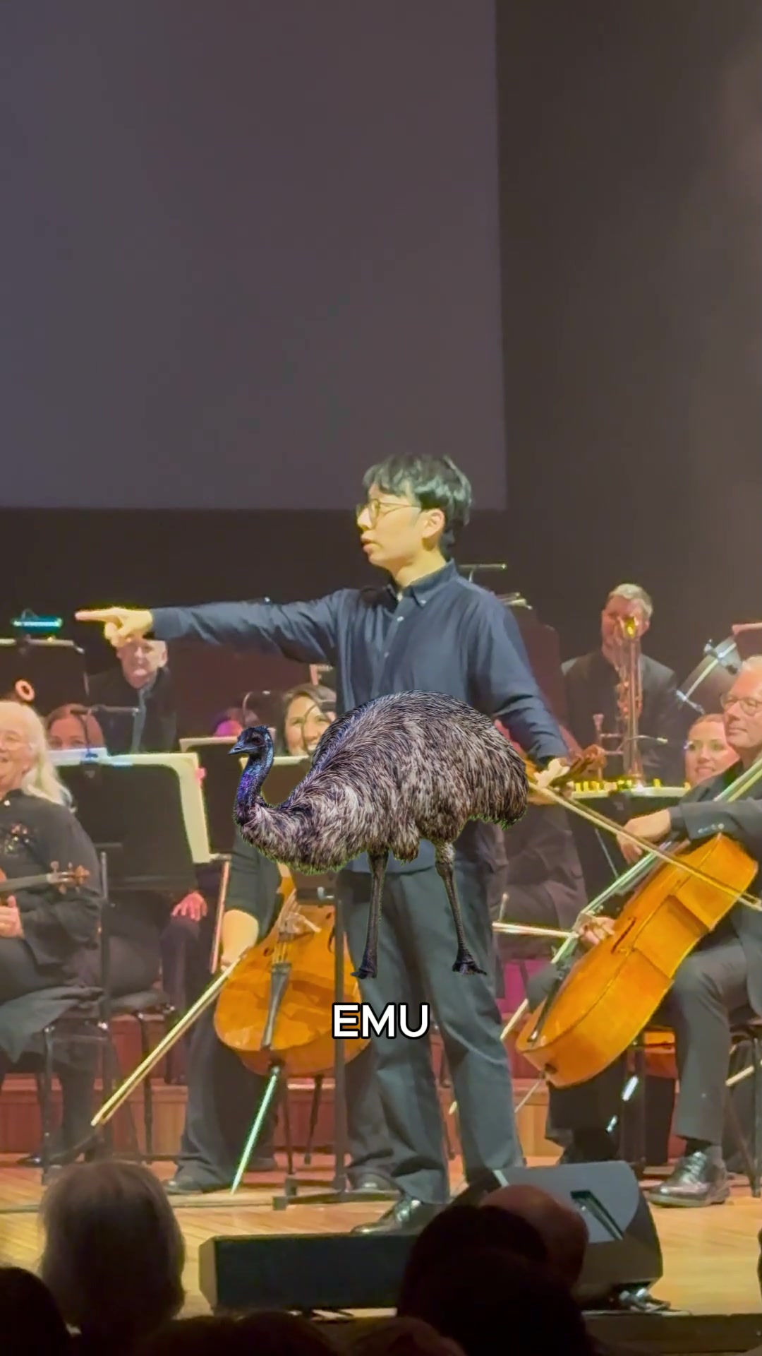 @twosetviolin