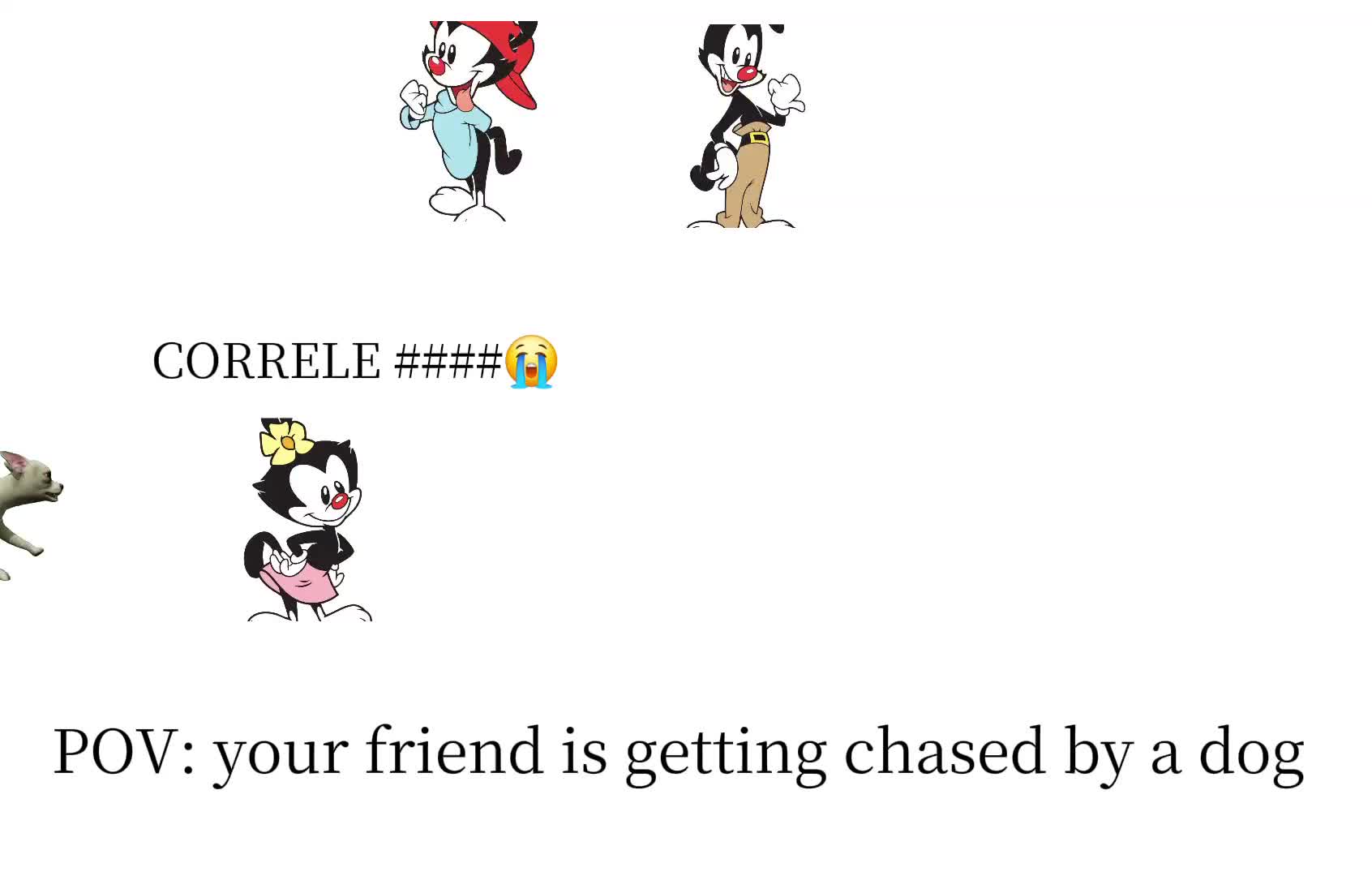 @yakko warner