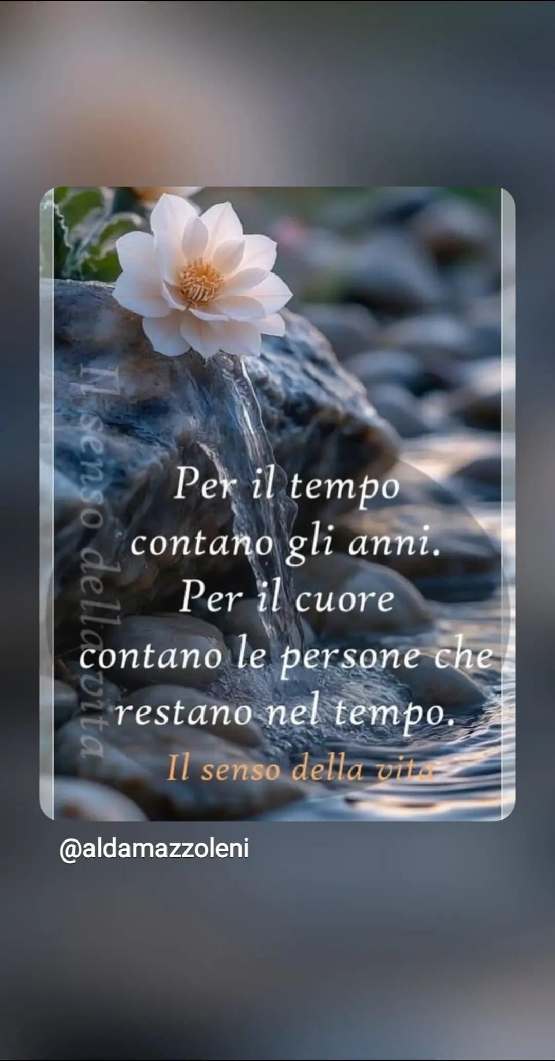 @caterinanicastro31