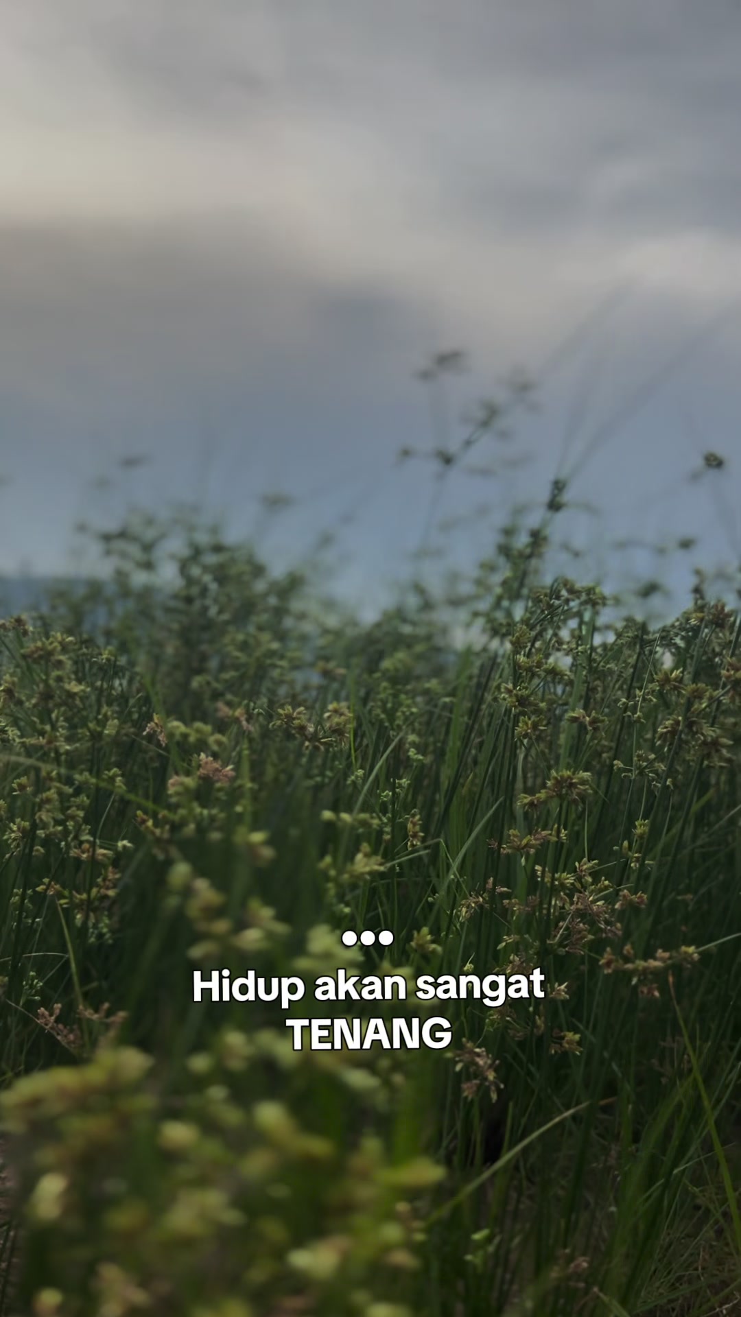 @Aziey Puterikedah