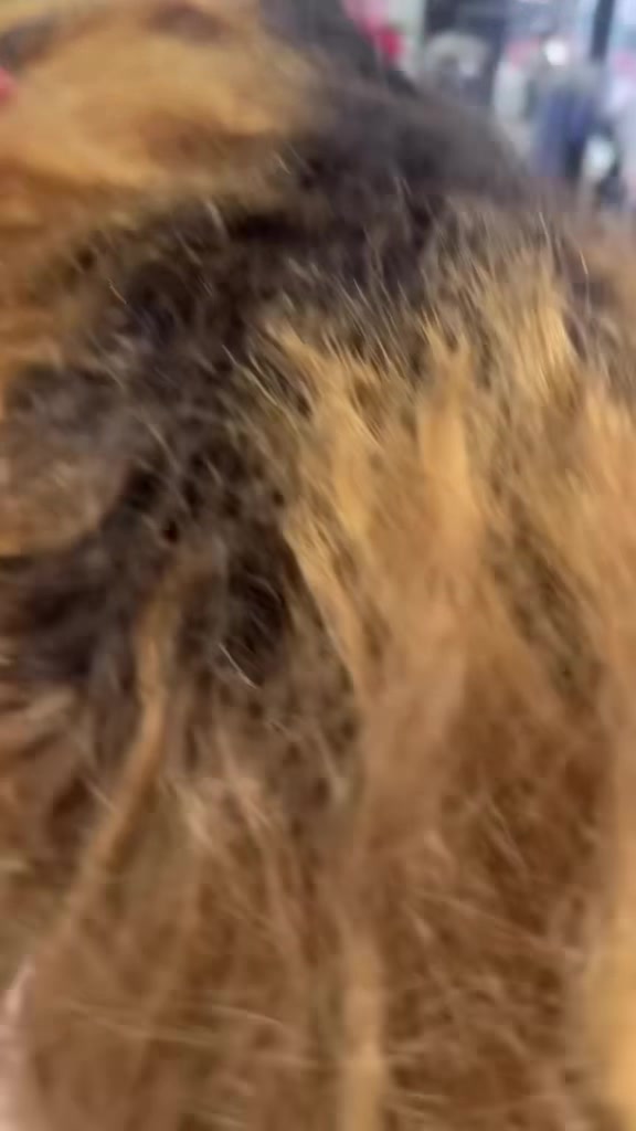@lucysalon103