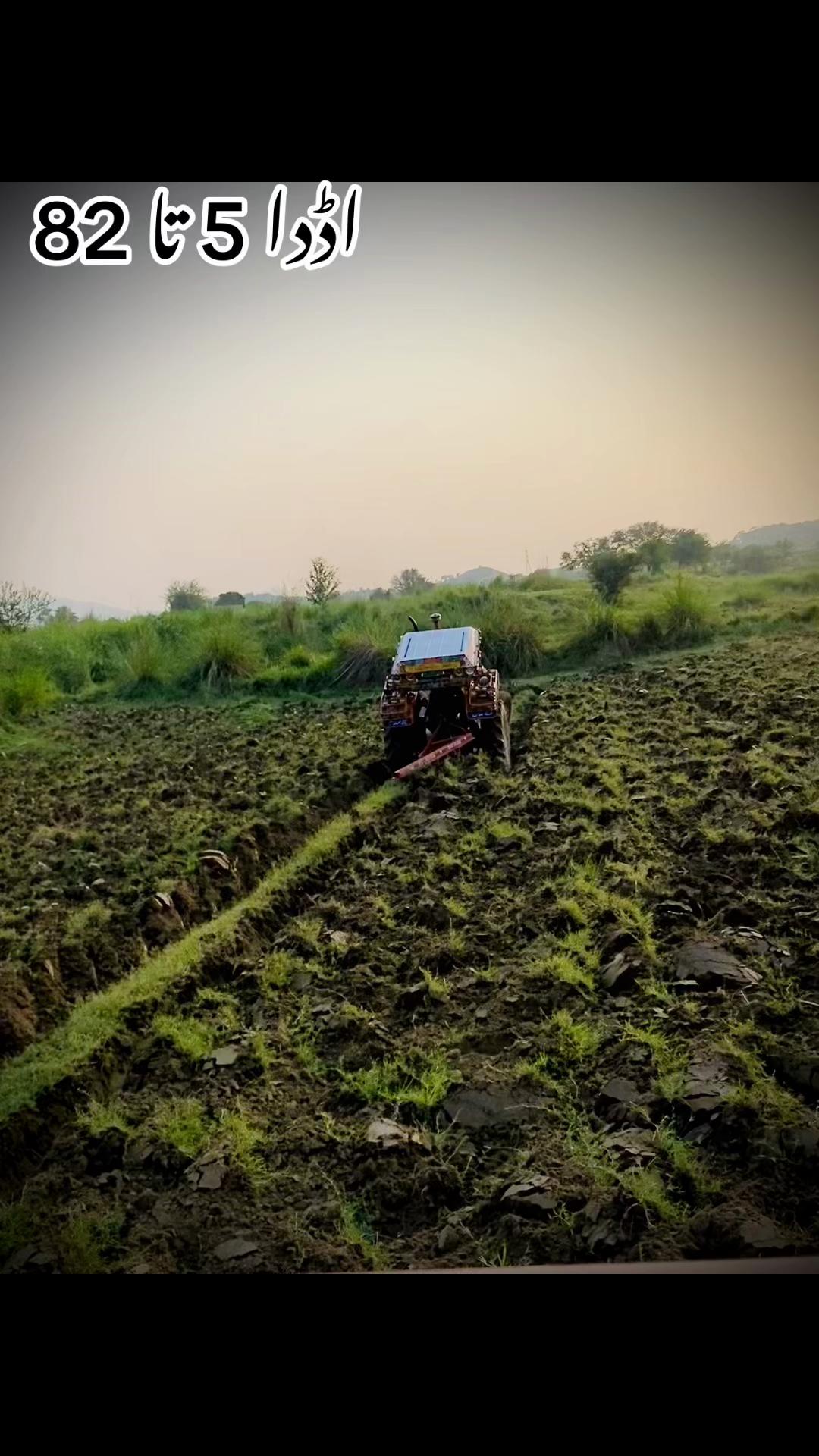 @اعوان زرعی فارم 🌾