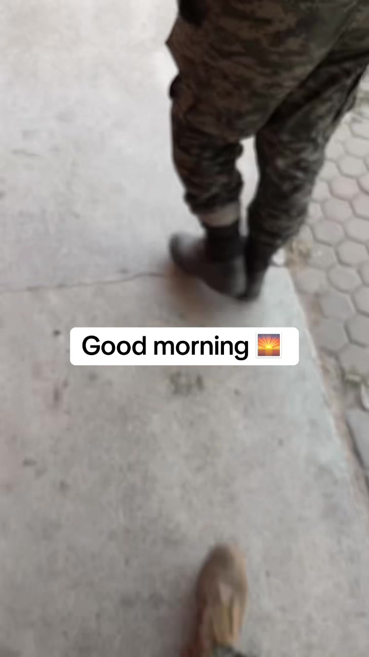 @Wolf 🐺 soldier