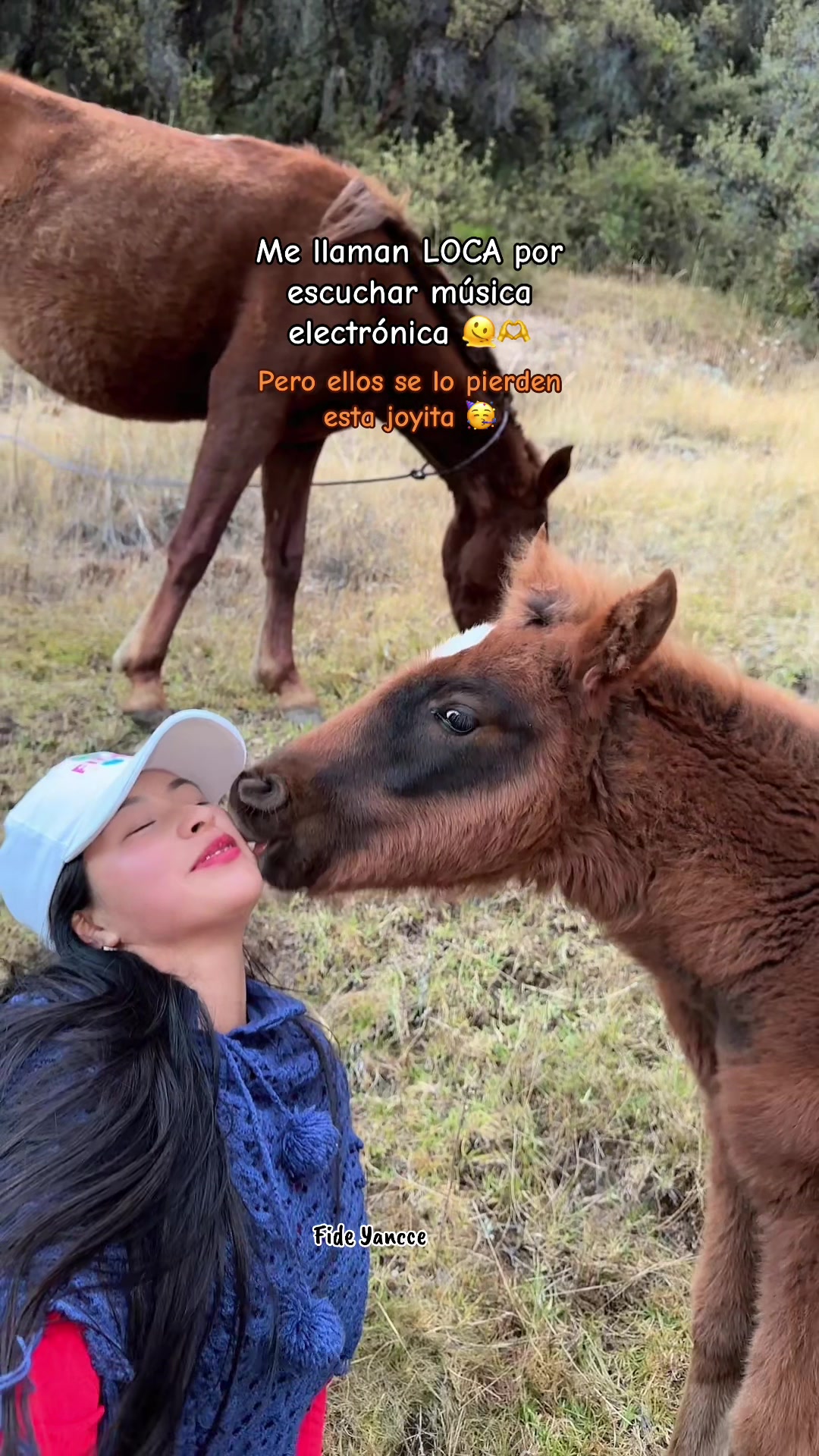 @🌳𝓕𝓲𝓭𝓮 𝓨𝓪𝓷𝓬𝓬𝓮🌳