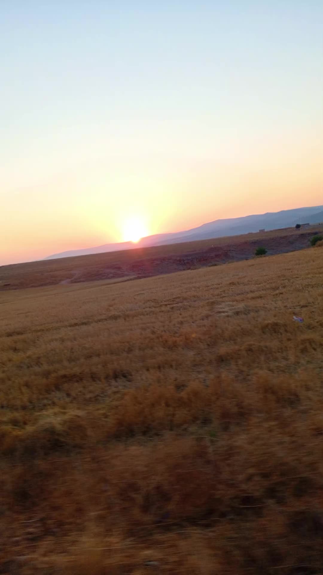 @حلا بنت عفرين