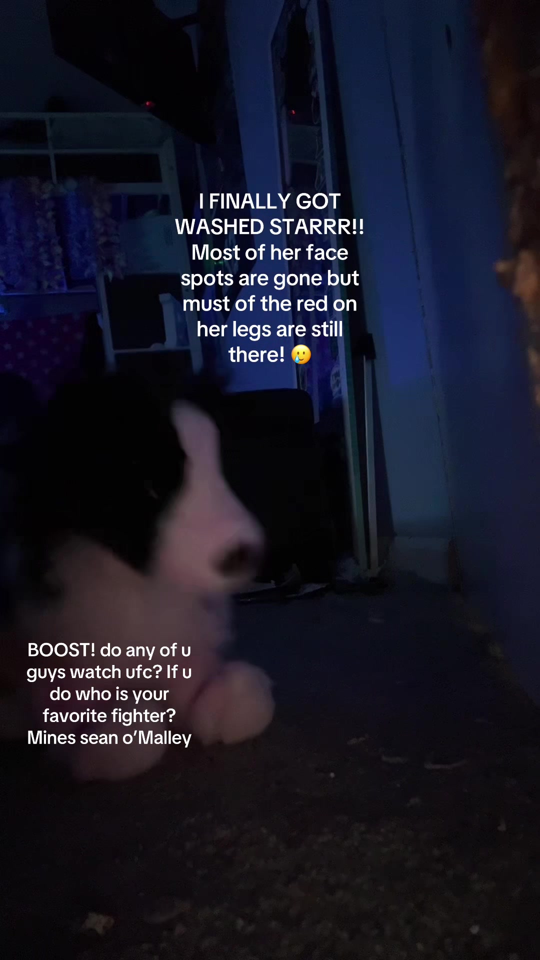 @‼️ 🐕&zwj;🦺𝓸𝓹𝓪𝓵+𝓱𝓸𝓹𝓮✩🎧🎸