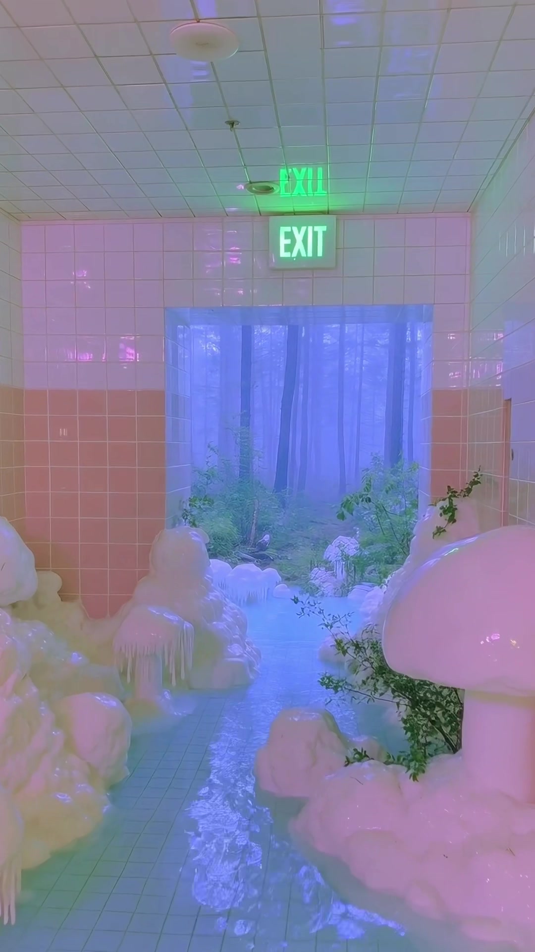 @𝐅𝐞𝐯𝐞𝐫𝐃𝐫𝐞𝐚𝐦𝐞𝐫