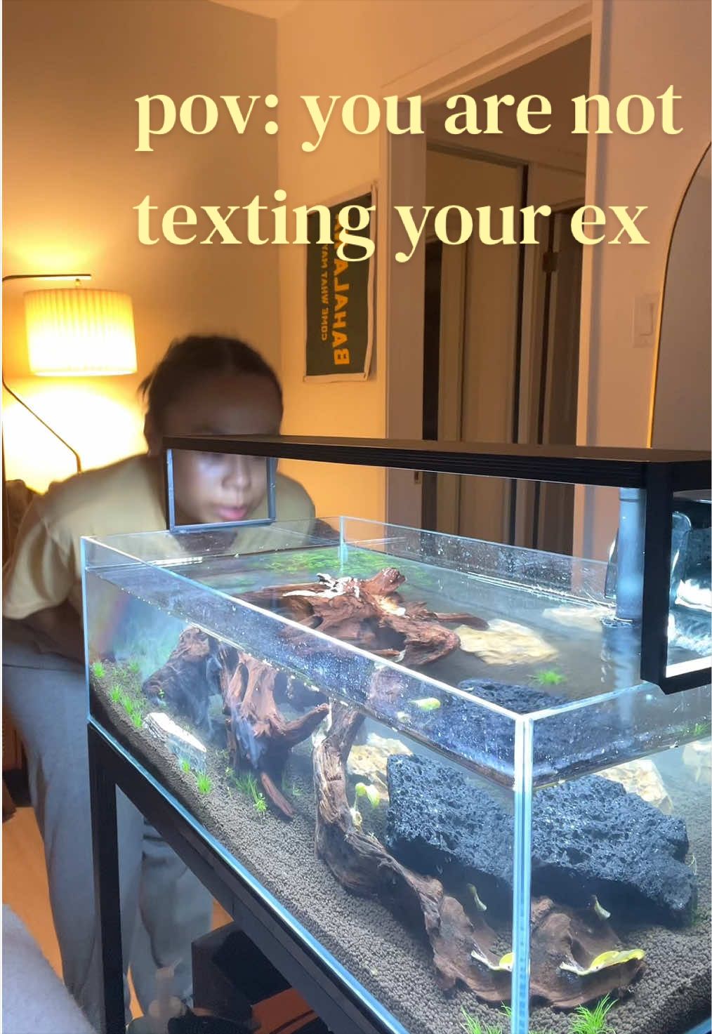 @chooks