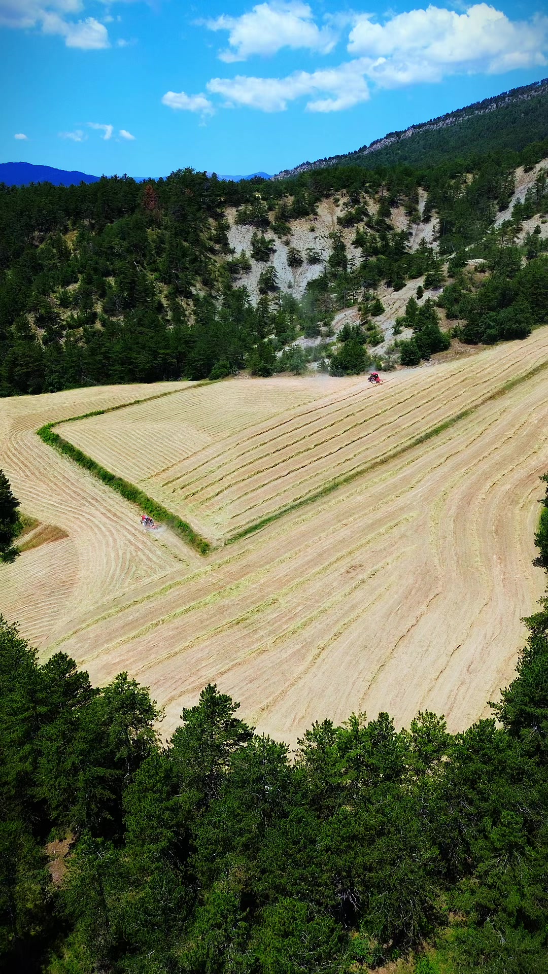 @Melih Karakurt