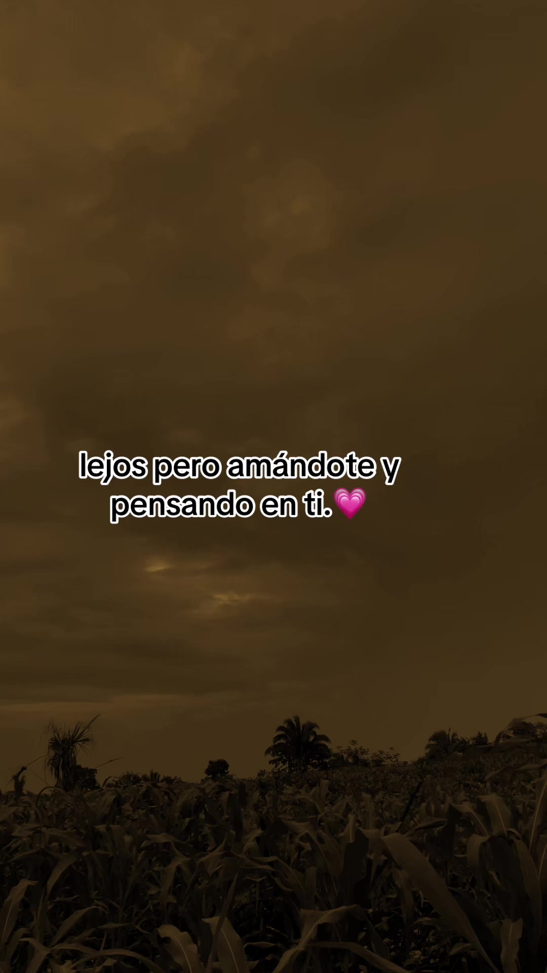 @Gustavo