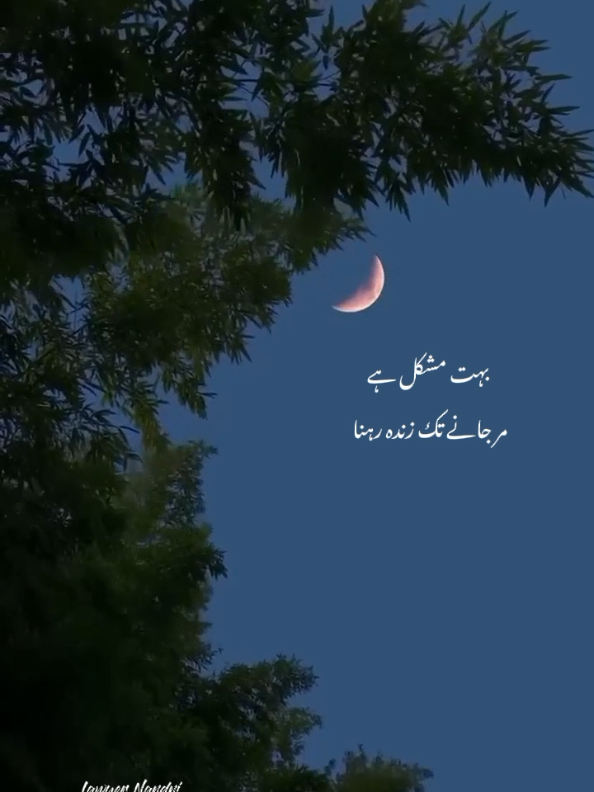 @𝙇𝙖𝙬𝙮𝙚𝙧 𝙉𝙖𝙣𝙙𝙣𝙞🖤