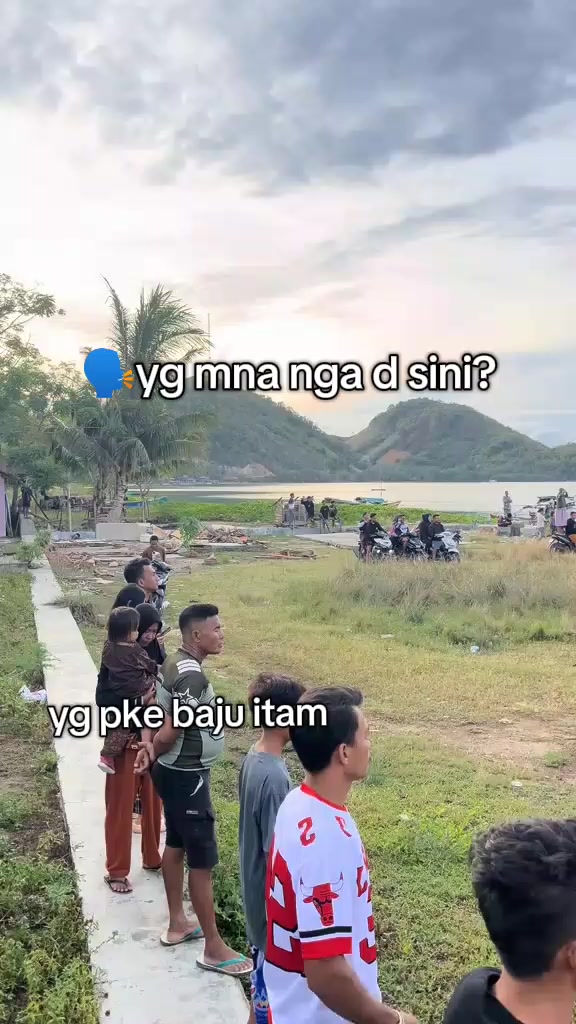 @alifsego