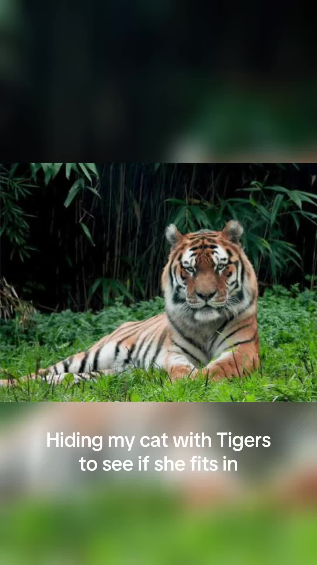 @Heather_plus_3