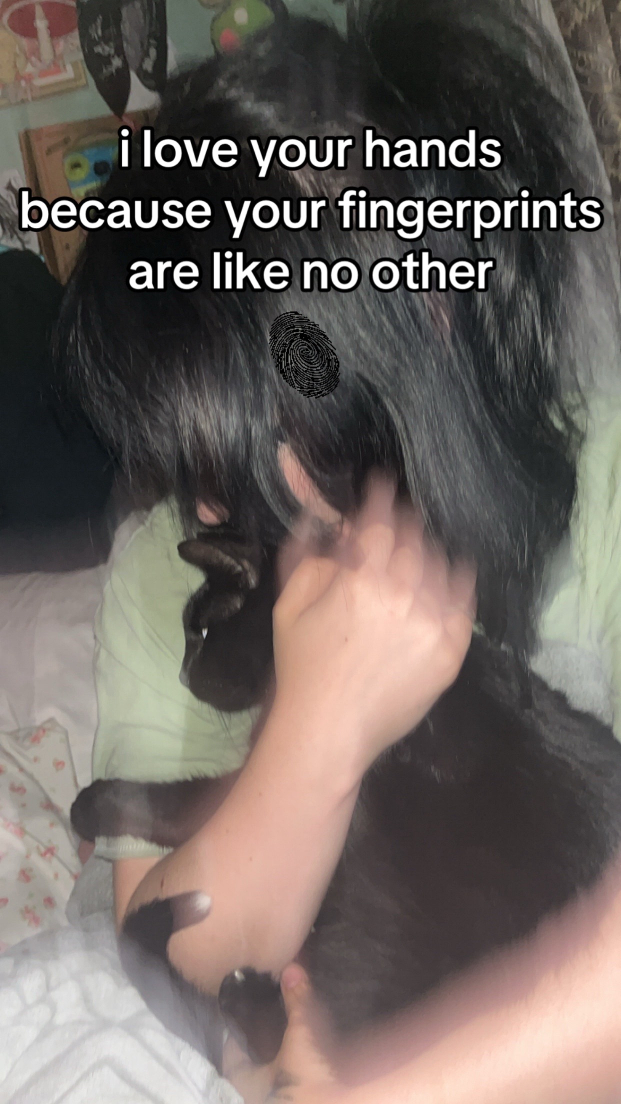 @⋆｡‧˚ʚ ɞ˚‧｡⋆