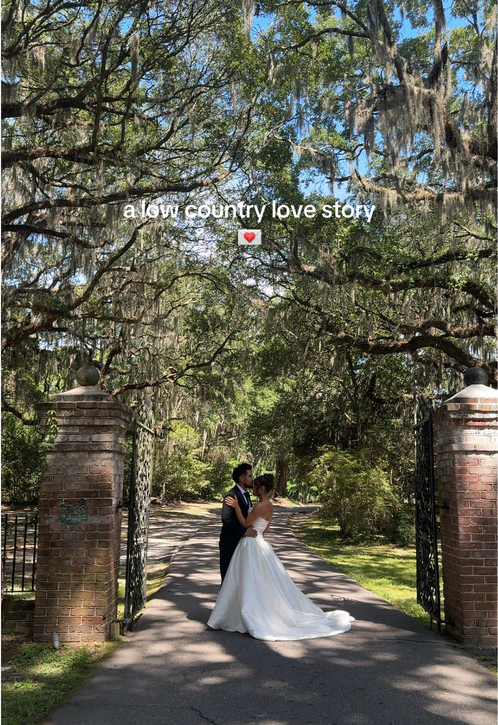 @Morgan Augusta Images