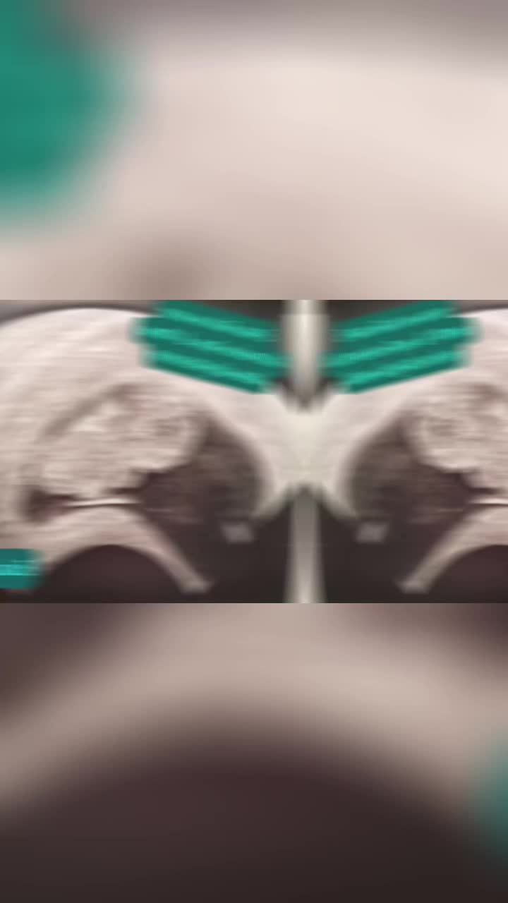 @cooleschwester18