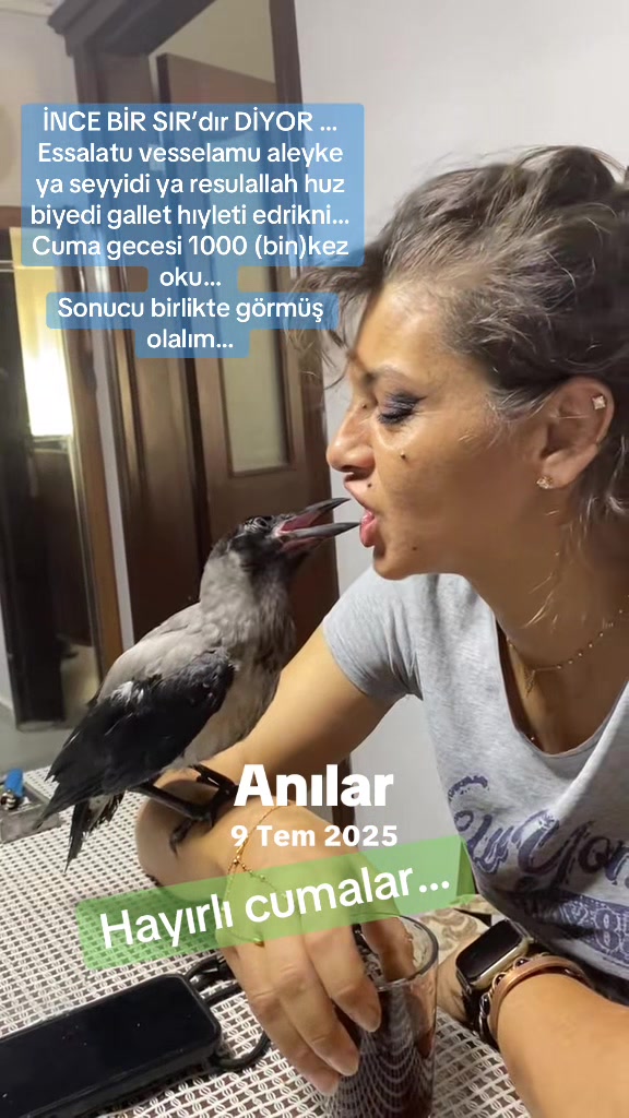 @Dani