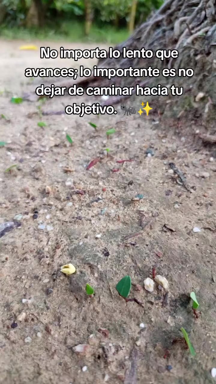 @𝕃𝕚𝕟𝕒 𝕄𝕒𝕣𝕥𝕚𝕟𝕖𝕫✨🌷