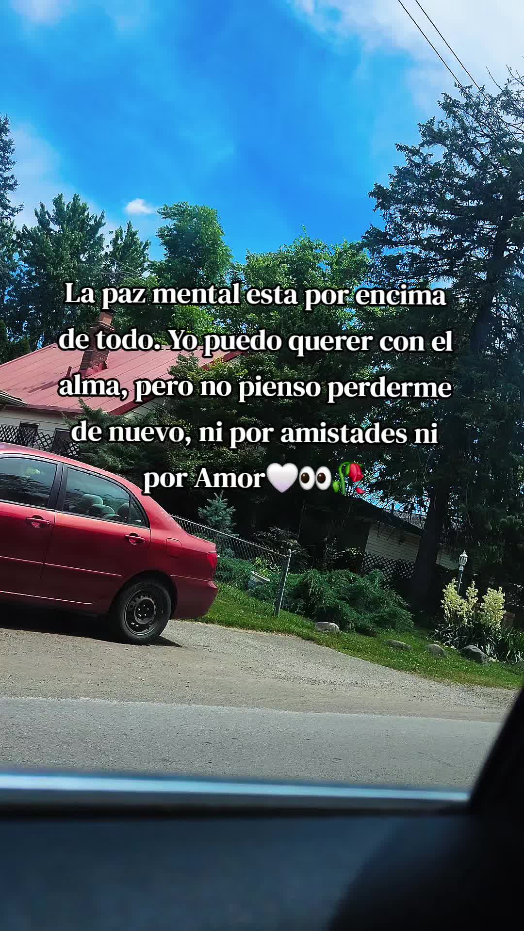 @odalis♡♤