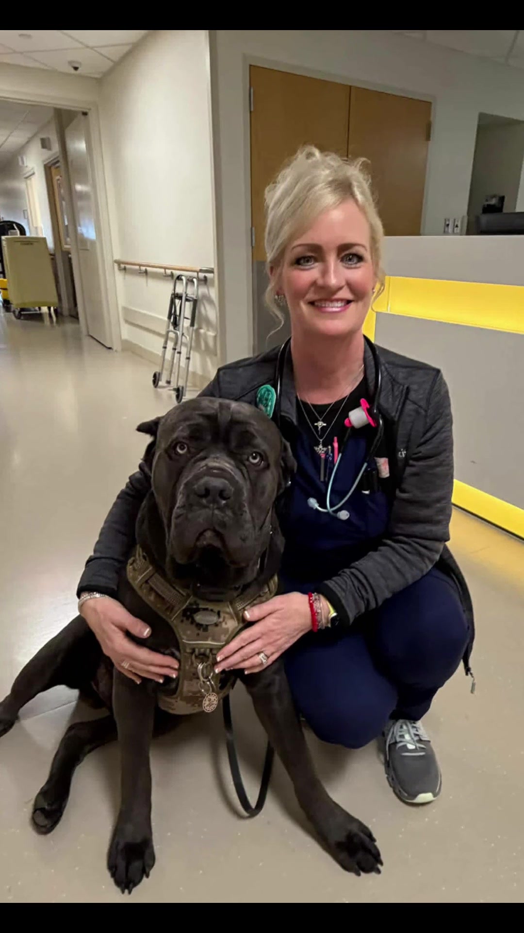 @Charlee The Cane Corso