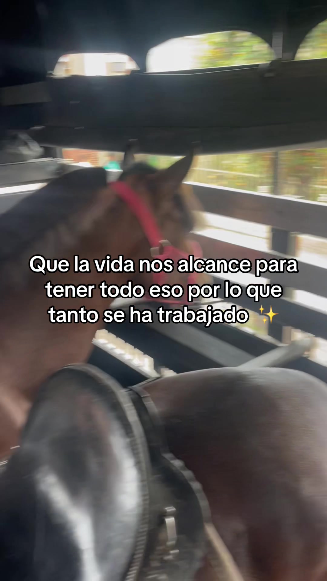 @Juan Rodr&iacute;guez 🐄