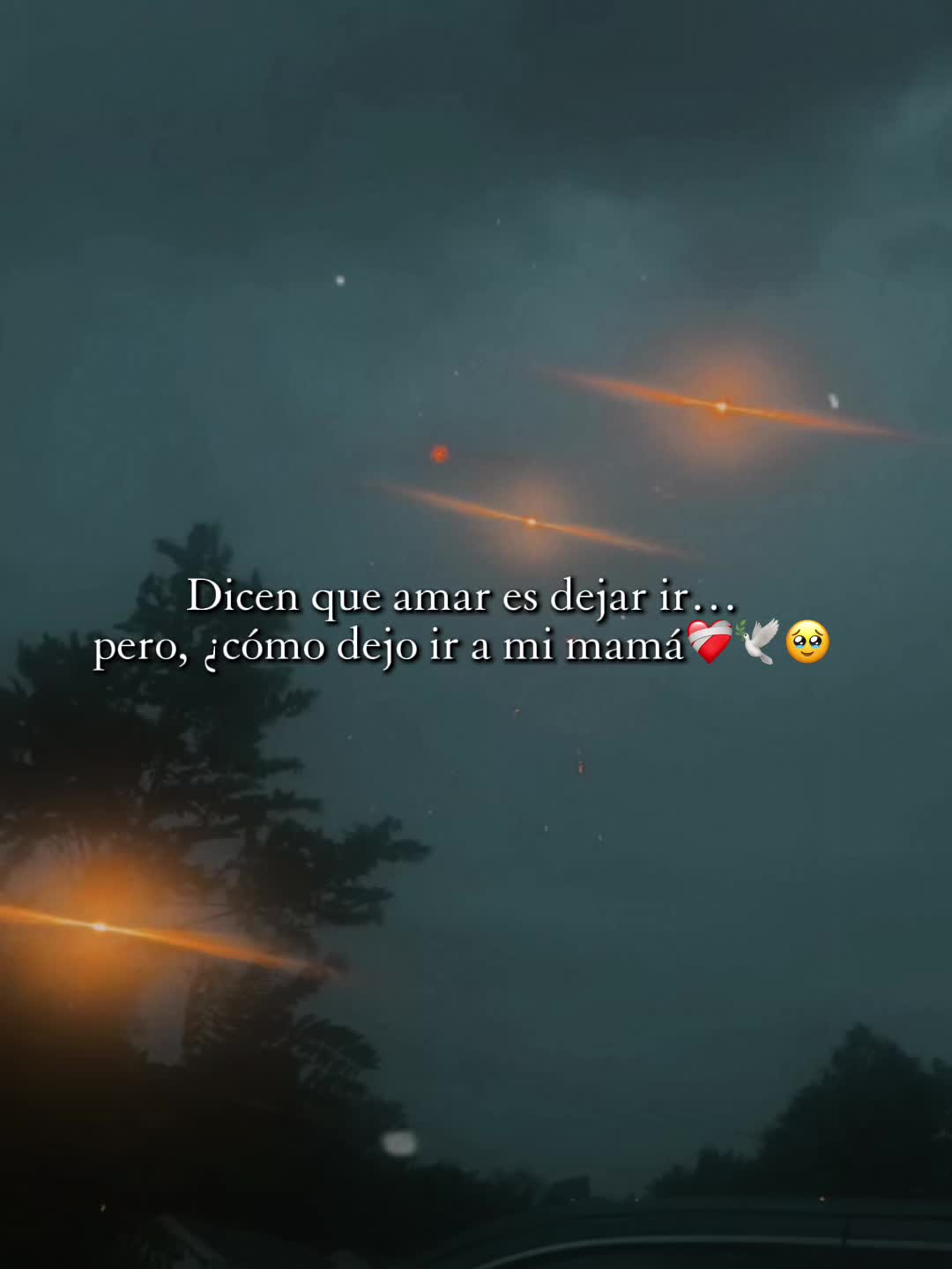 @Alessa❤️🇸🇻❤️