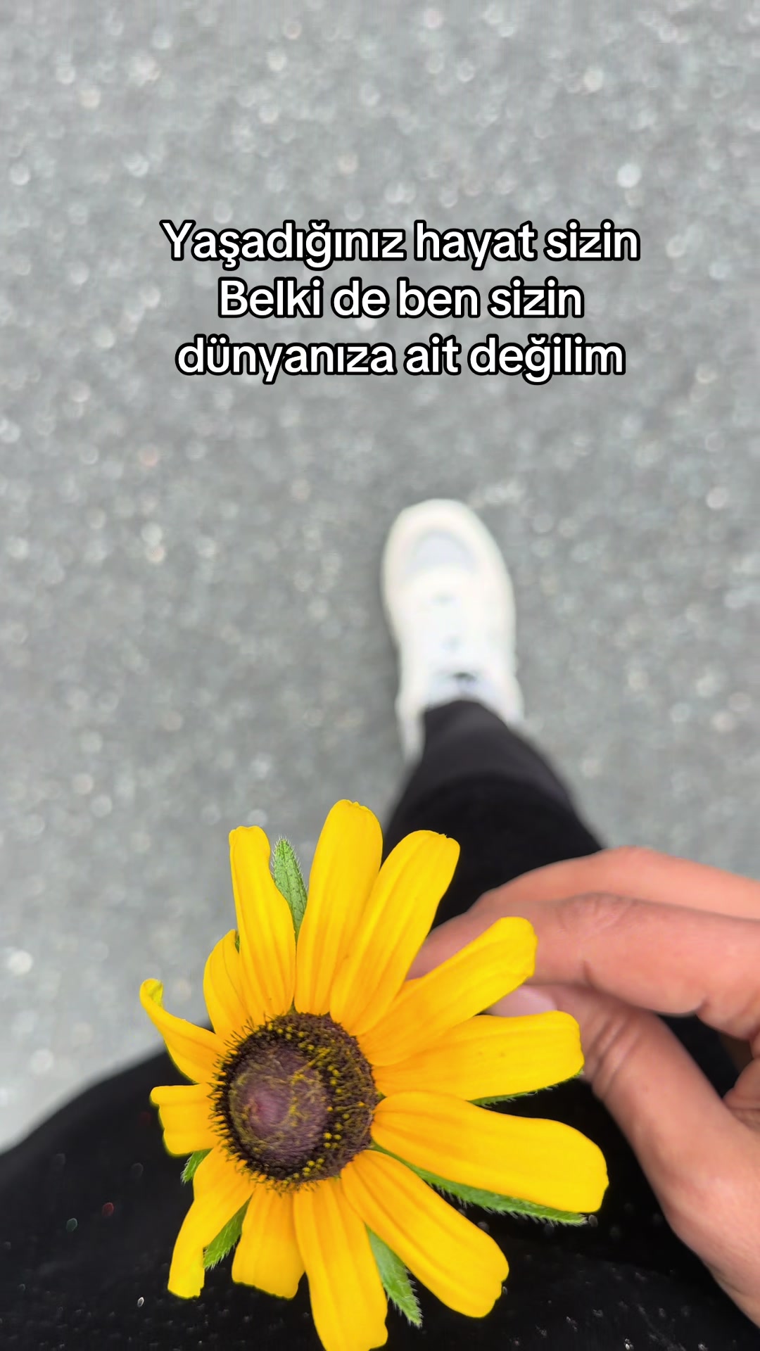 @𝓡𝓸𝓳𝓭𝓪☀️
