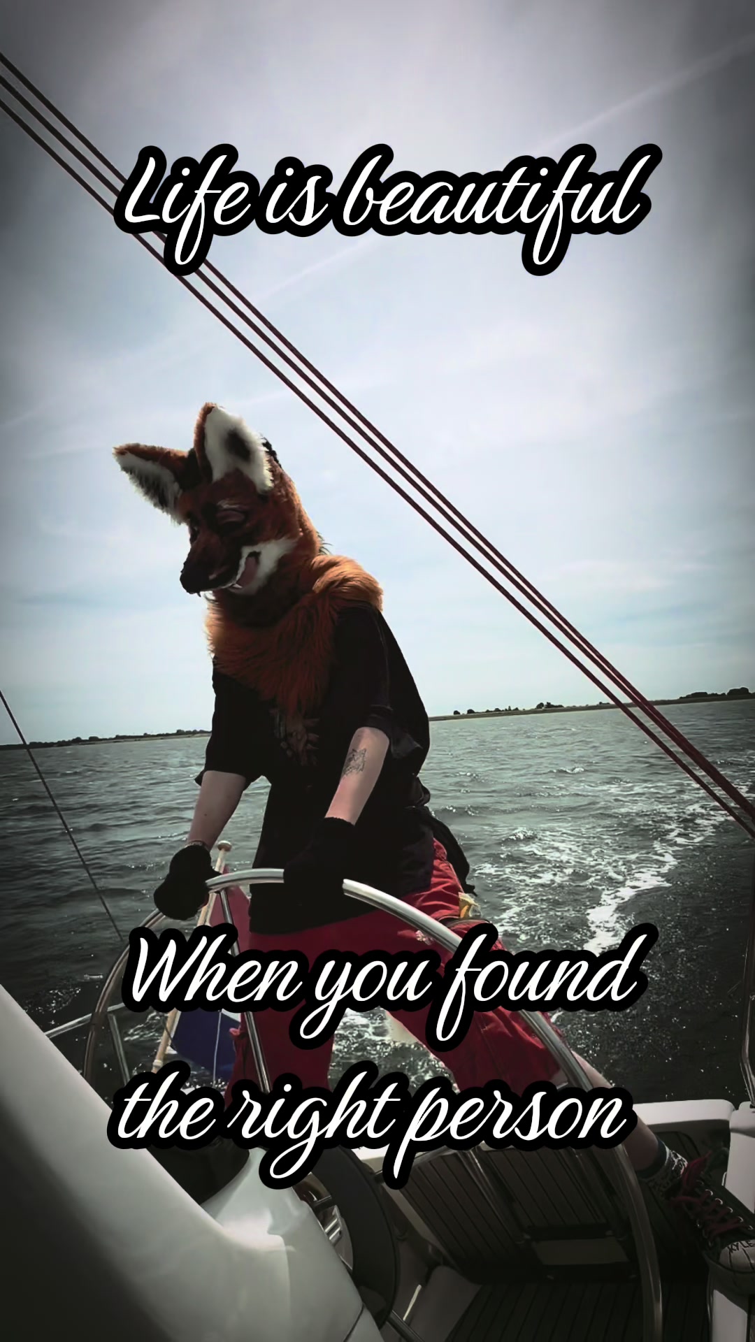 @Mister Fawx 🦊