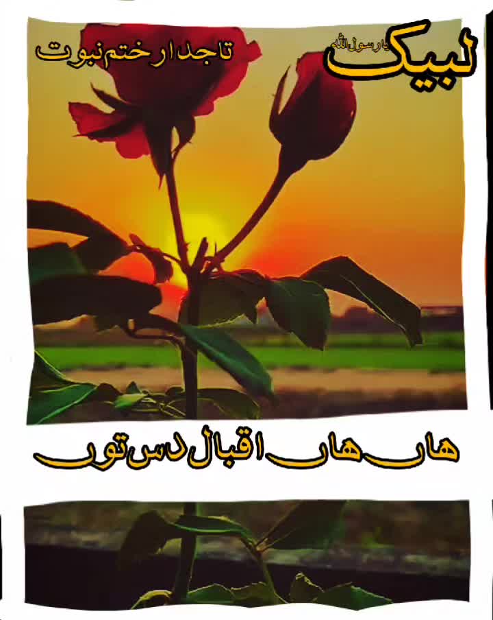 @Uzair edits15