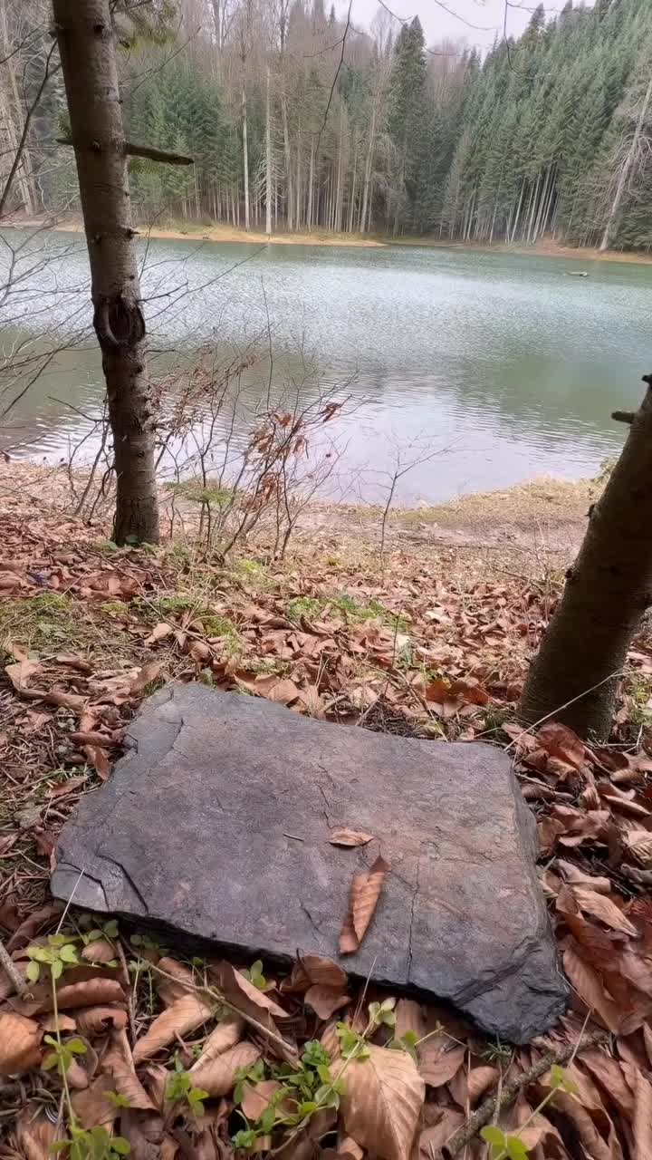 @𝘼𝙟𝙢𝙖𝙡 𝙃𝙪𝙨𝙖𝙖𝙣 9T9