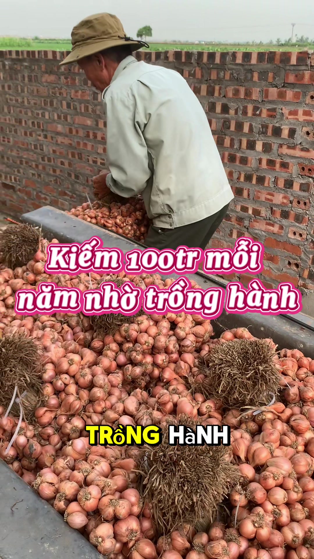 @Hành Phi Kinh Môn nhà Khanh