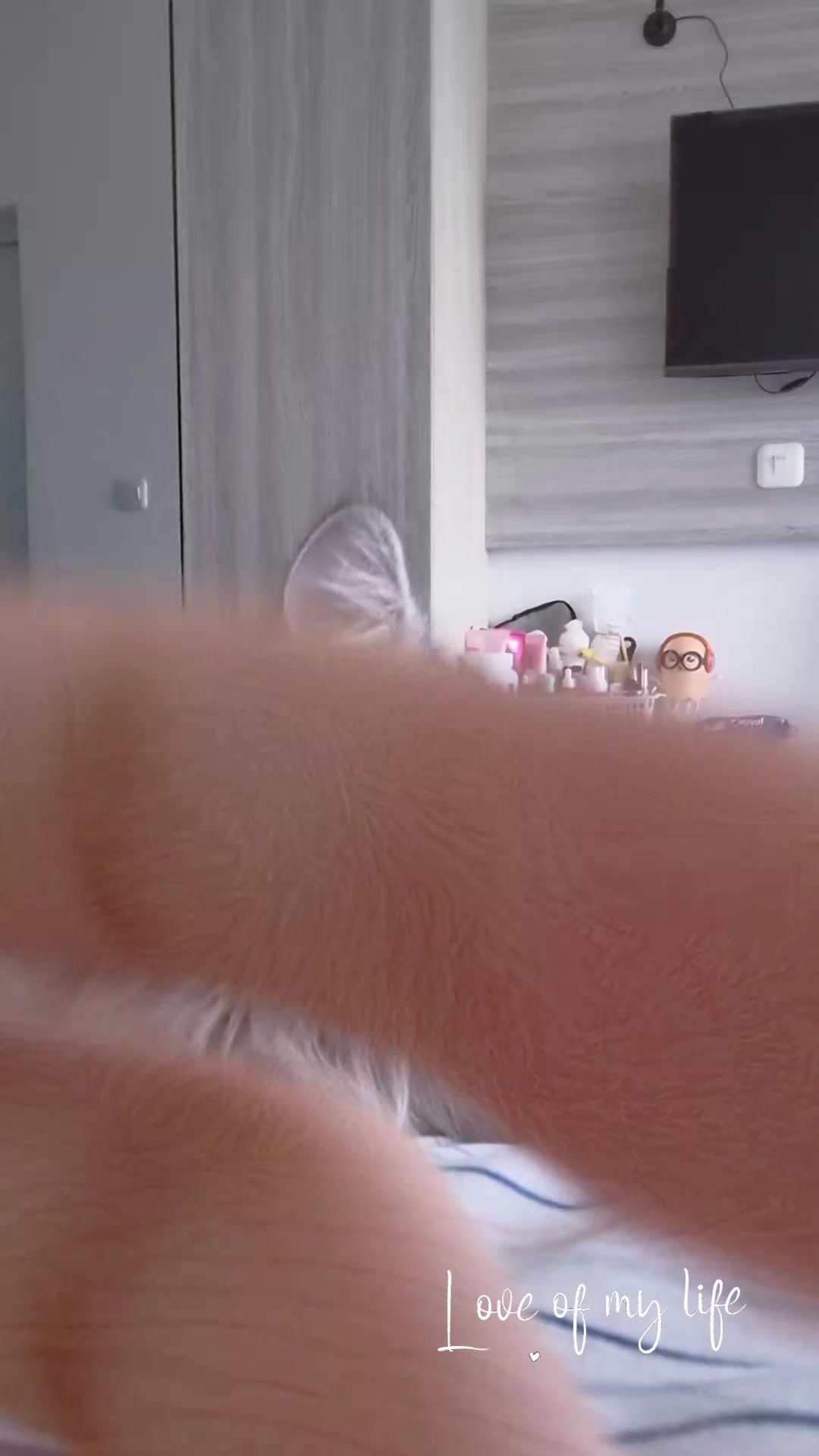 @YeN_KiMi_MiKi