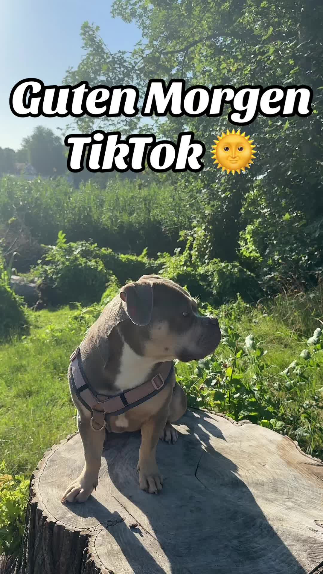 @Milly 🐶🥰