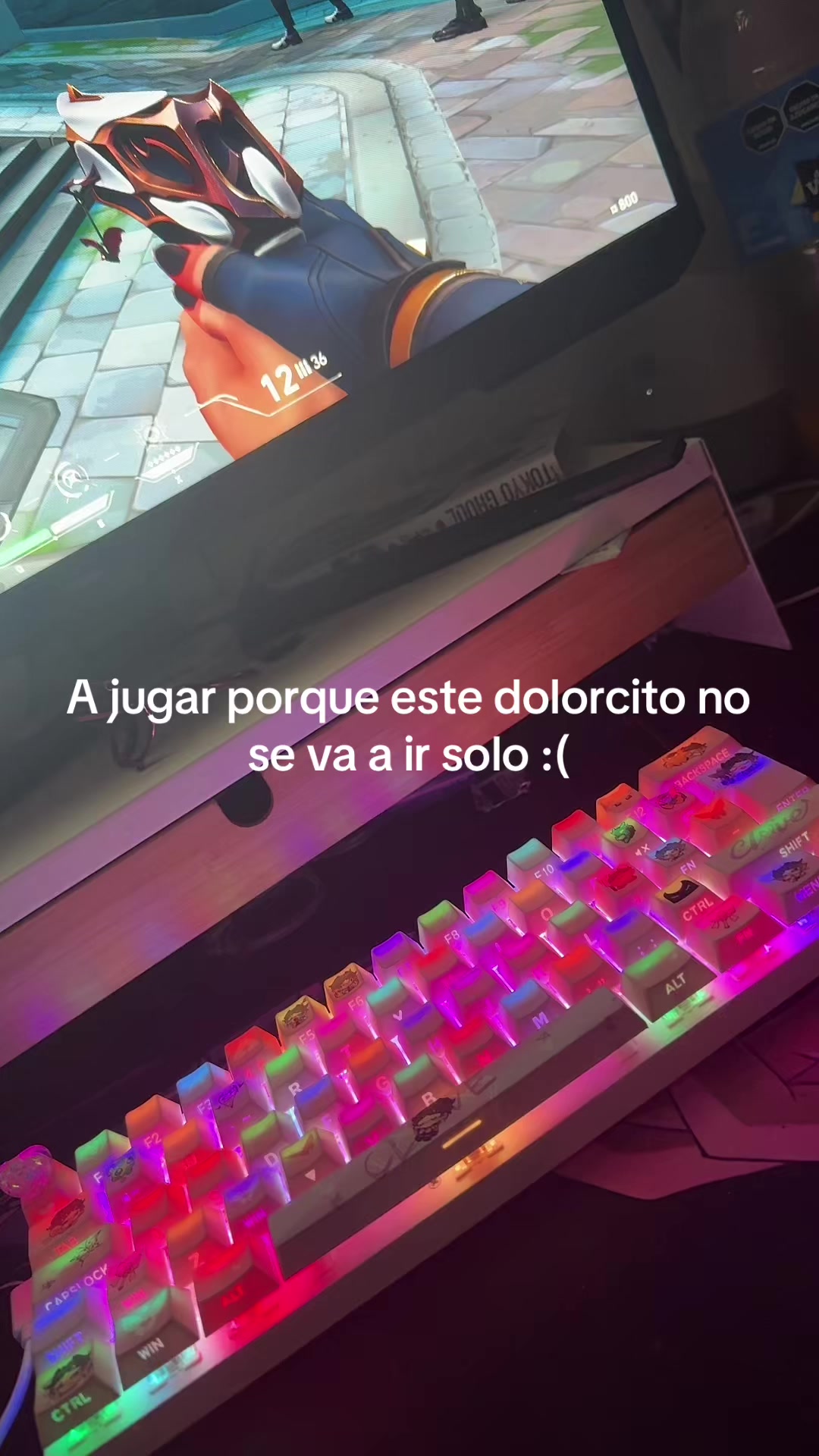 @𝐴𝑏𝑏𝑦🪼
