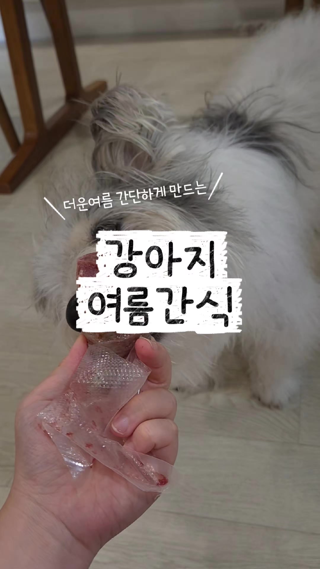 @춘가드