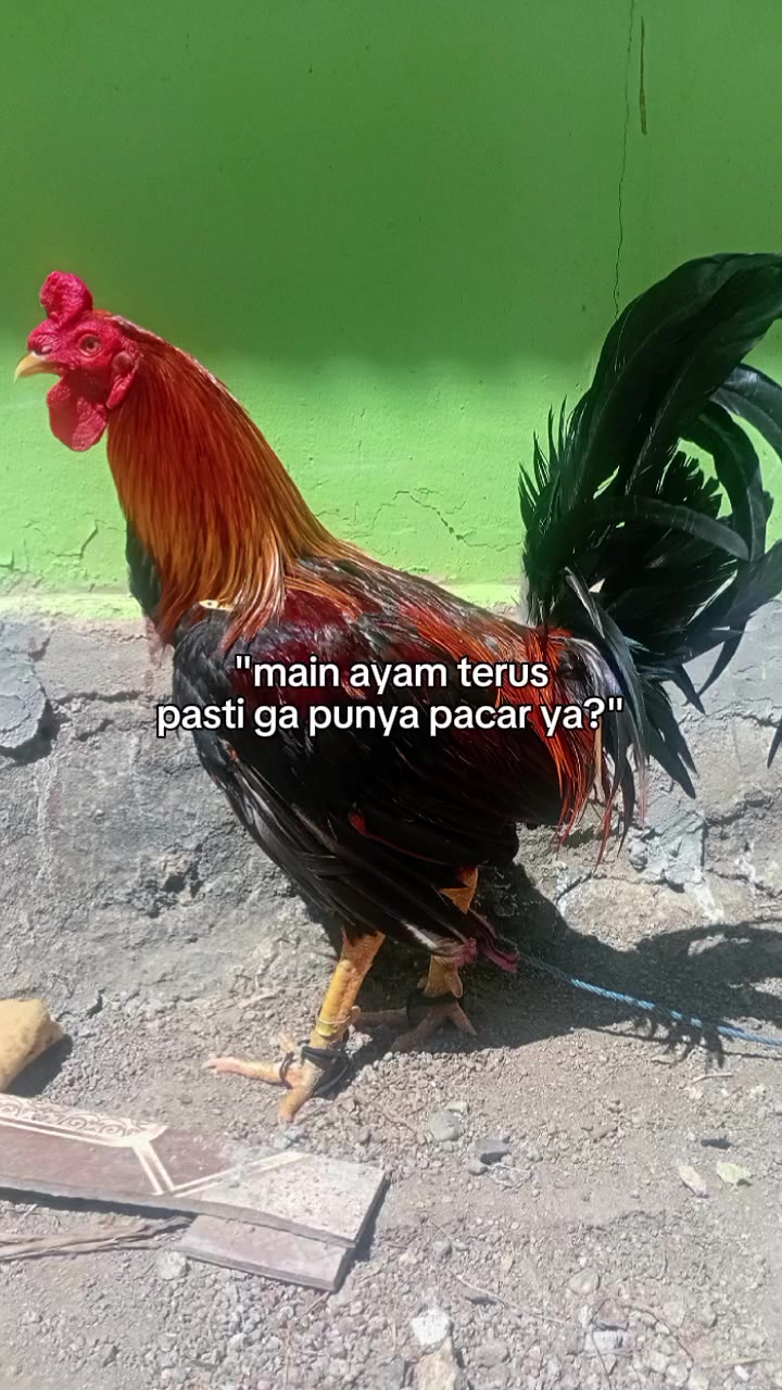 @Fandi lamatenggo
