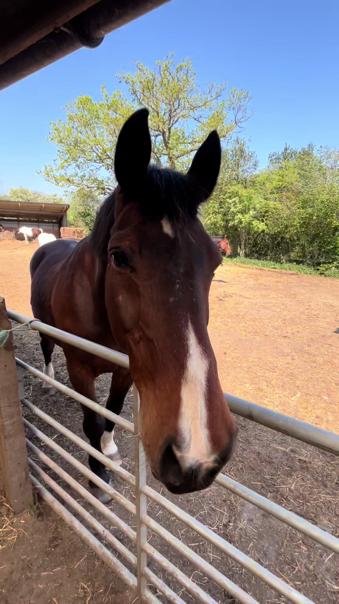 @Moor Farm Stables