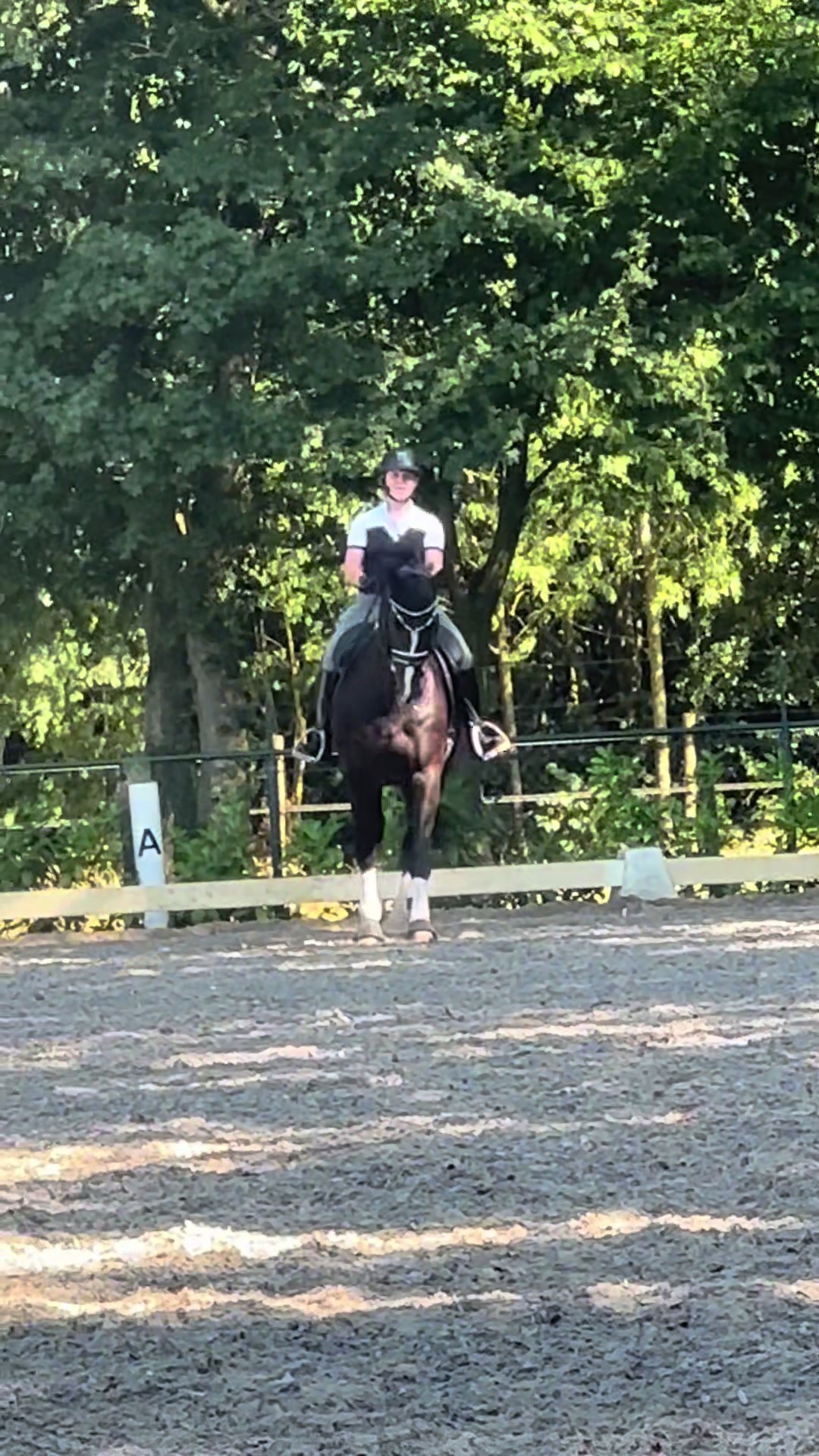 @𝐀𝐧𝐧𝐞 𝐉𝐨𝐨𝐬𝐭𝐞𝐧🇳🇱