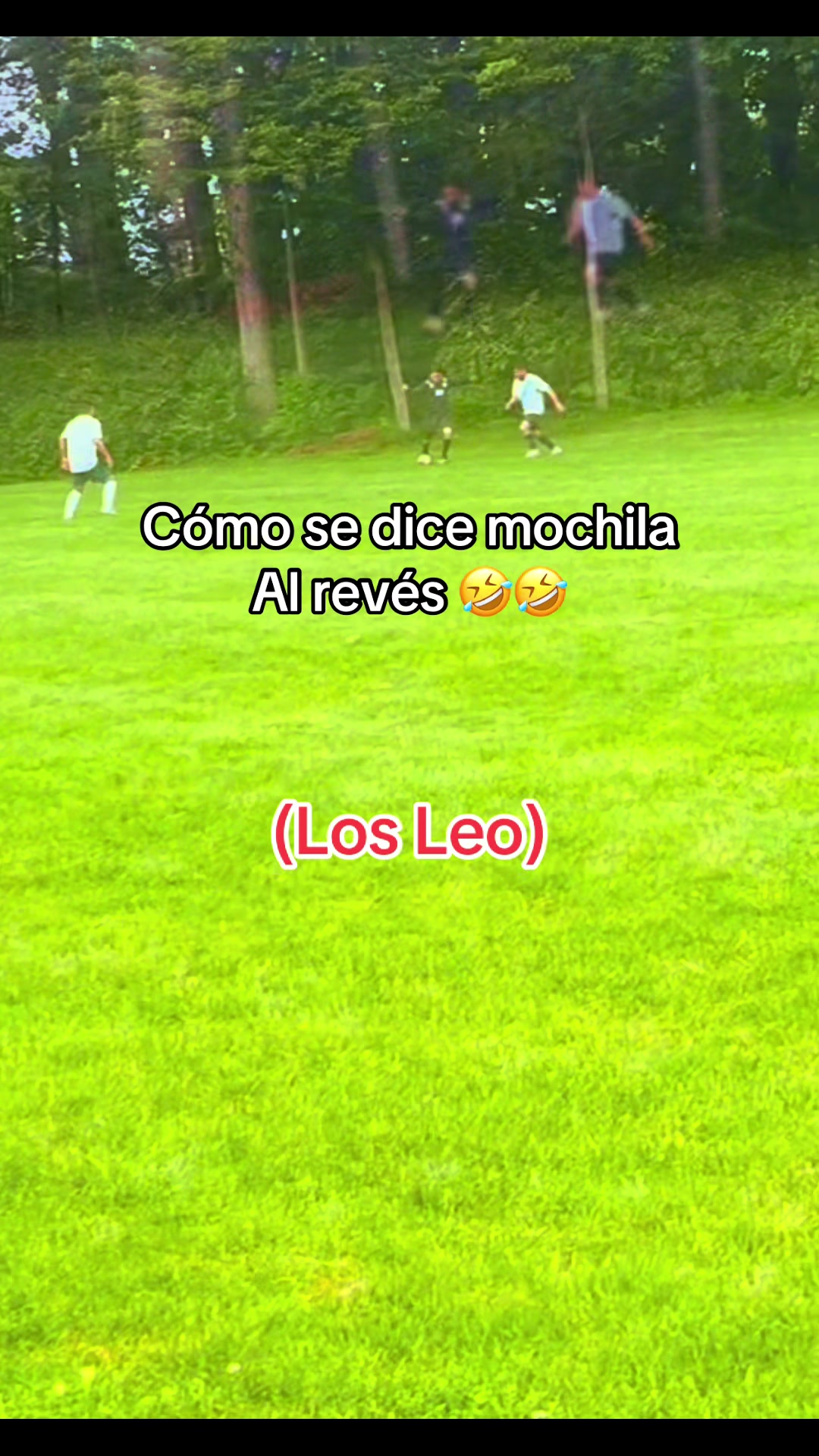 @[🍕🦂]JS_CHAPIN🇬🇹❤️💙🌙🌪️⚡️