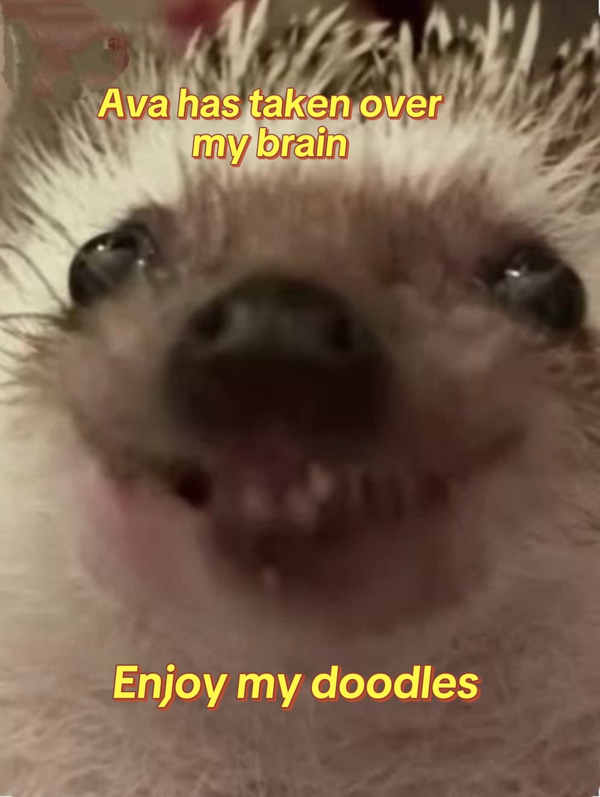 @Pippyartz