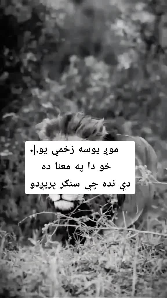 @(🥷🏿خــــوږيـاڼــي🥷🏿)🇦🇫🫀