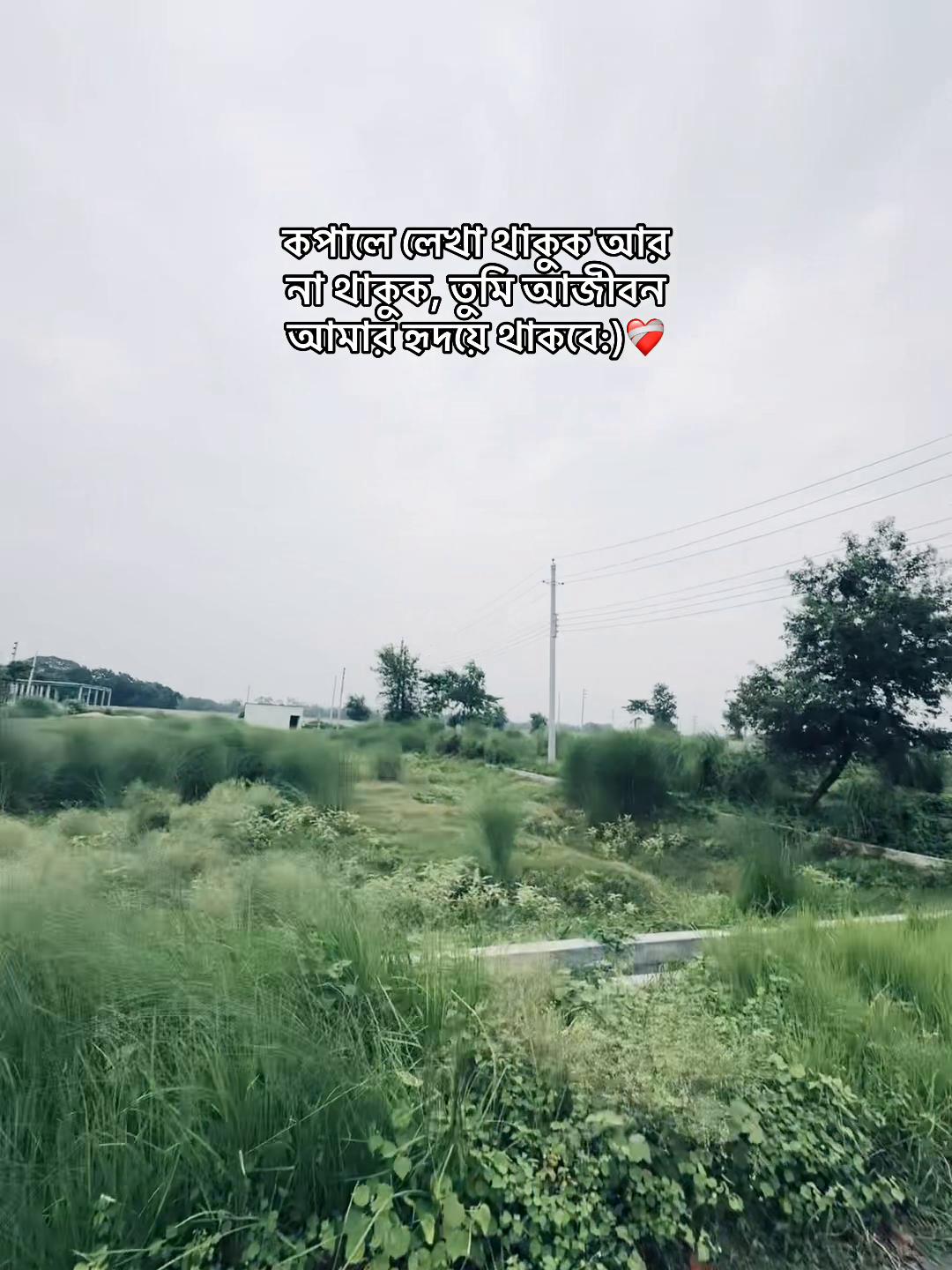 @উল্লাস:)🕊️⚰️